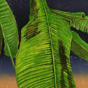 New leaf