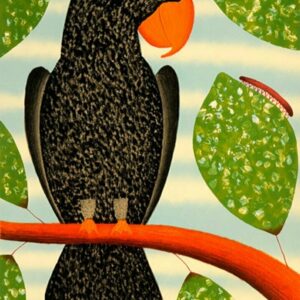 Black parrot watching Millepede