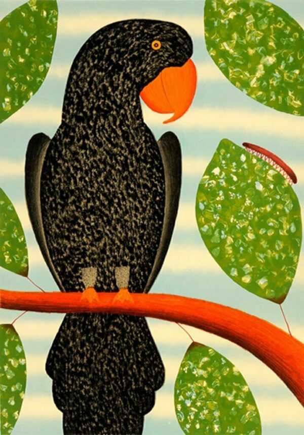 Black parrot watching Millepede