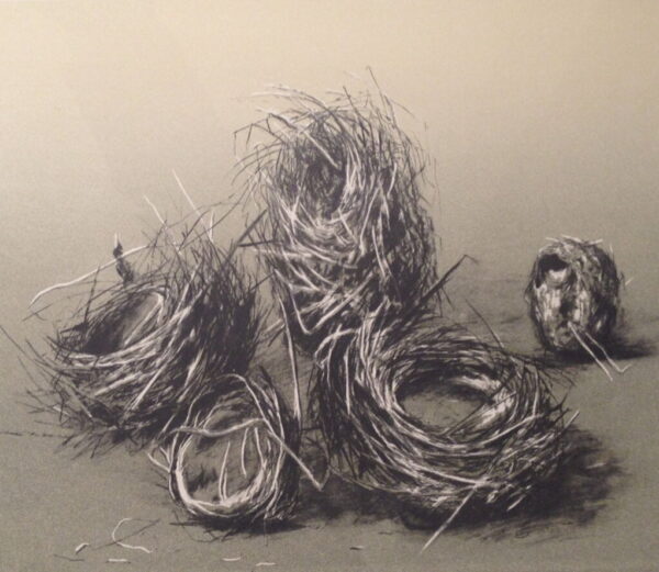 Cluster of five nests