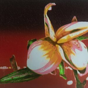 Floating Frangipani