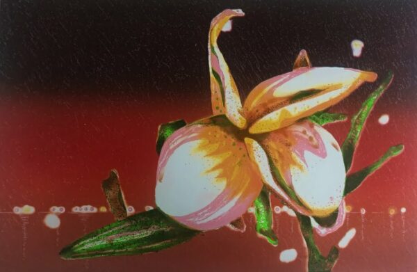 Floating Frangipani