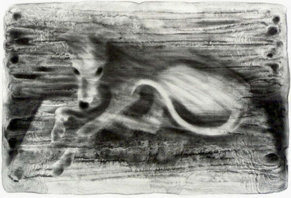 Whippet