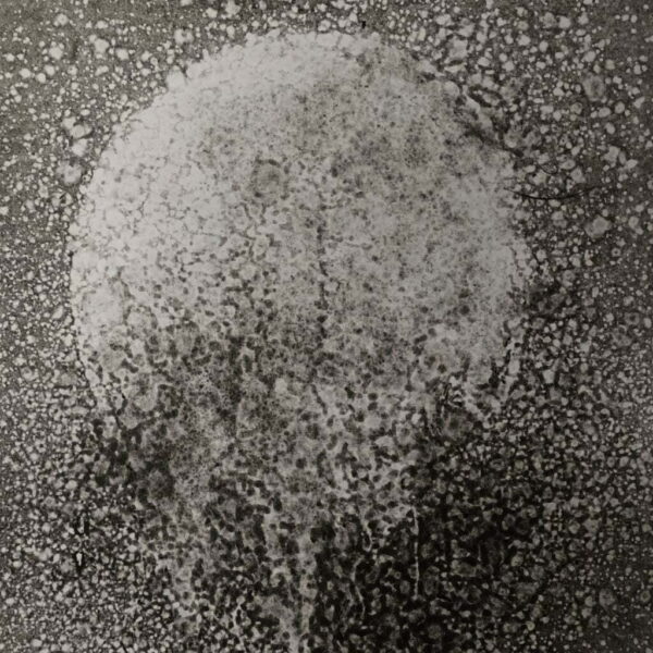One Day Workshop Mono & Lino Cut Printing - Image 3